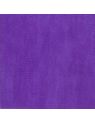 tnt-violeta-041